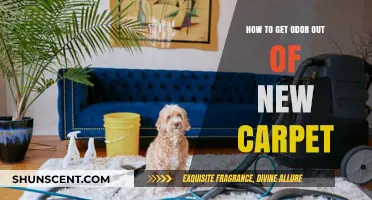Freshen Up Your Space: Removing Odors from New Carpets