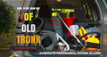 Reviving Vintage Chests: A Guide to Eliminating Odors from Old Trunks