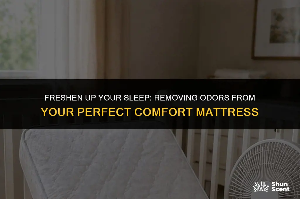 how to get odor out of perfect comfort mattress