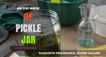 Freshen Up Your Pickles: A Guide to Odor-Free Jars
