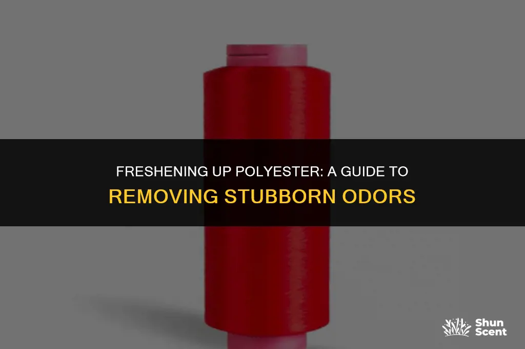 how to get odor out of polyester