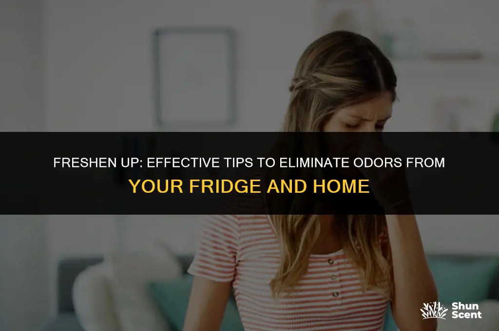 how to get odor out of refrig and house