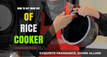 Banish the Smell: Effective Tips to Deodorize Your Rice Cooker