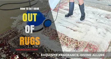 Freshen Up Your Space: Effective Tips to Eliminate Rug Odors