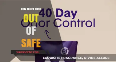 Eliminating Unwanted Smells: A Guide to Odor-Free Safes