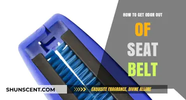 Freshen Up Your Ride: Removing Odors from Seat Belts