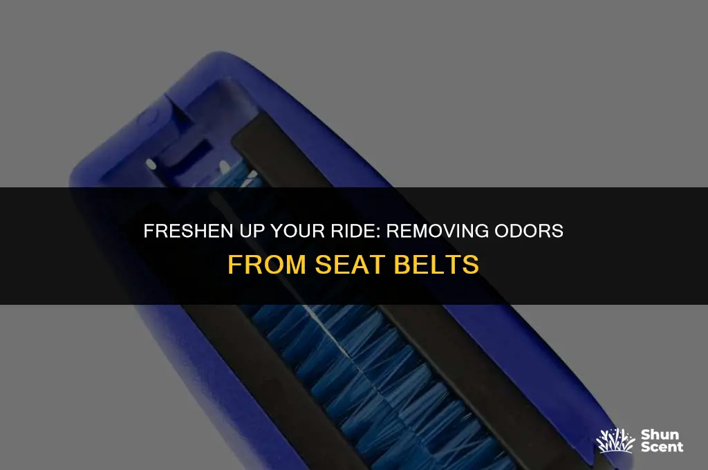 how to get odor out of seat belt