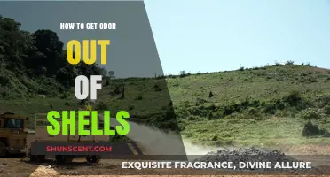 Freshening Up: Effective Ways to Remove Odor from Shells