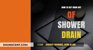 Freshen Up Your Shower: A Guide to Odor-Free Drains