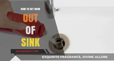 Freshen Up Your Sink: A Guide to Eliminating Stubborn Odors