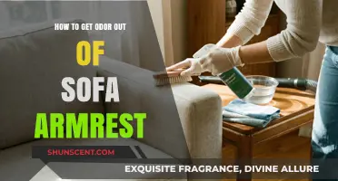 Freshen Up Your Sofa: Removing Odors from Armrests