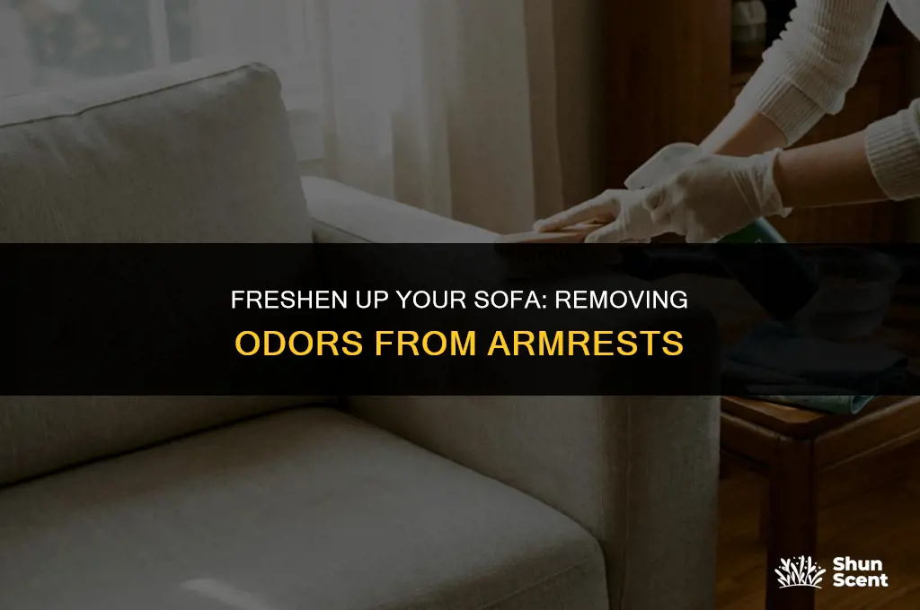 how to get odor out of sofa armrest