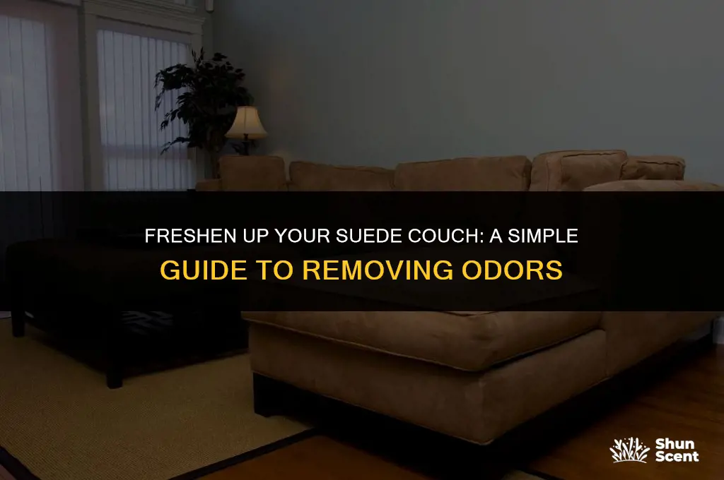 how to get odor out of suede couch