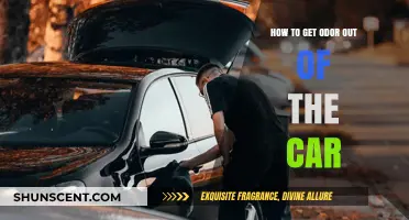 Freshen Up Your Ride: Effective Tips to Eliminate Car Odors