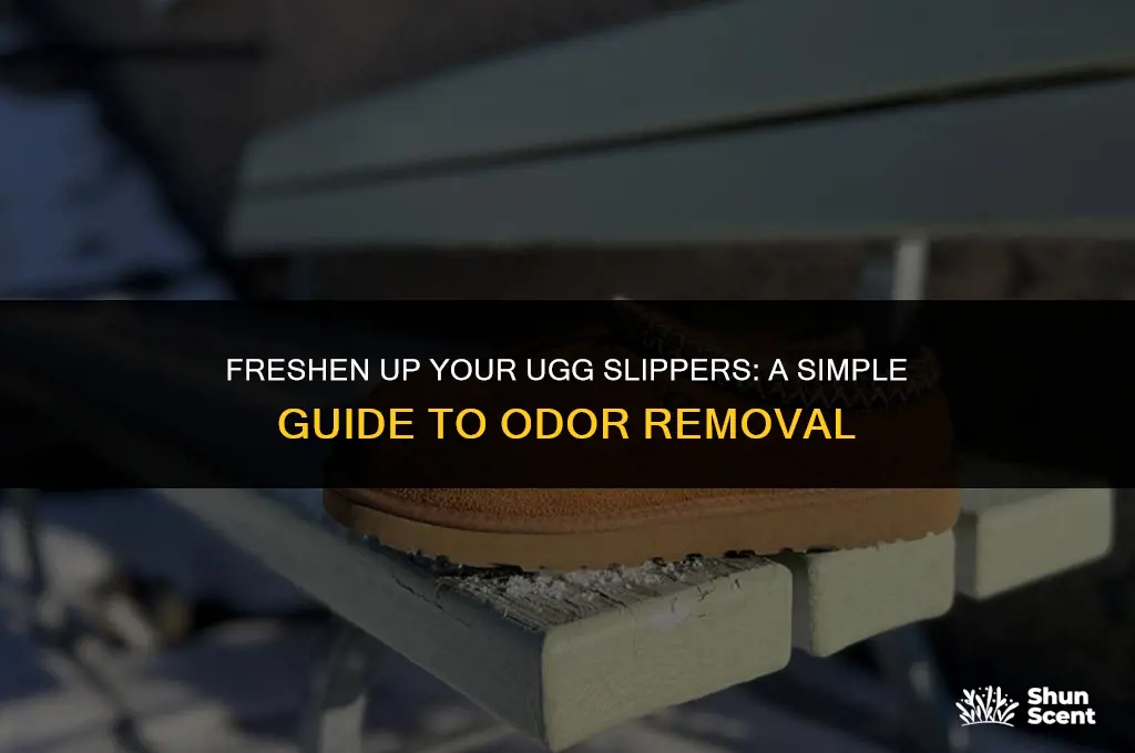 how to get odor out of ugg slippers