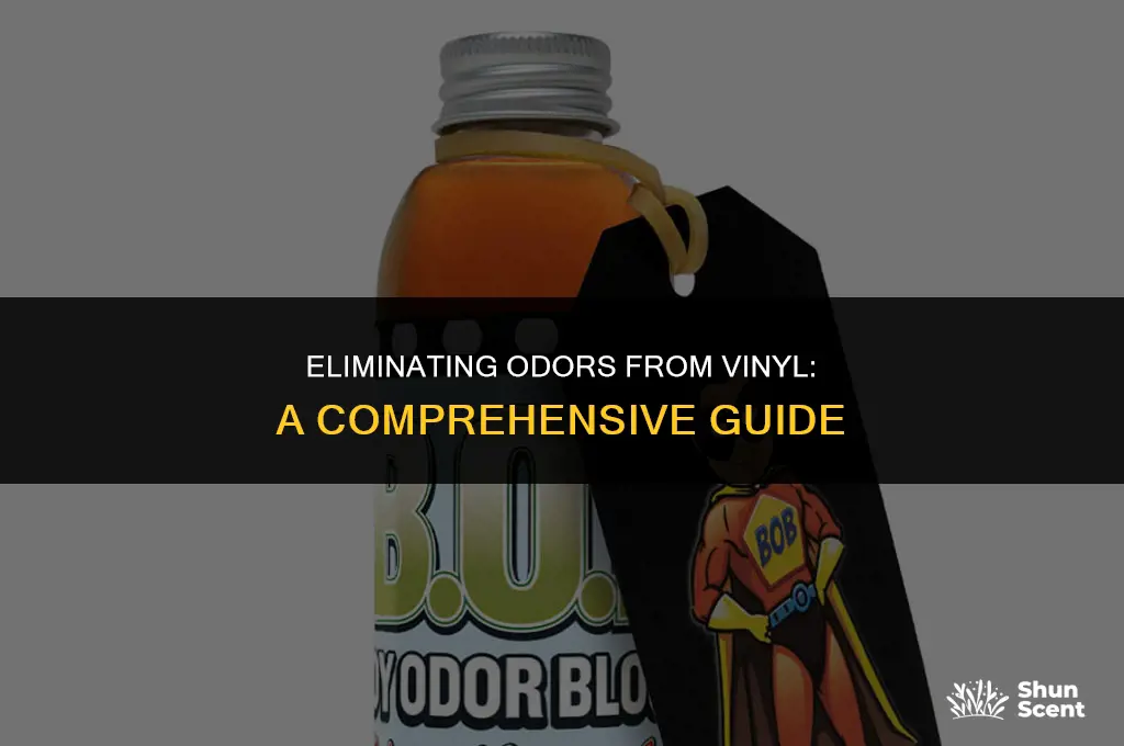 how to get odor out of vinyl