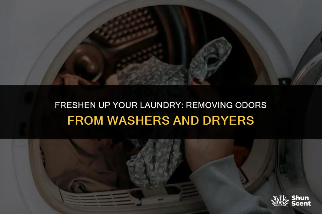 how to get odor out of washer and dryer