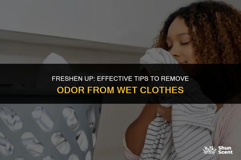 how to get odor out of wet clothes