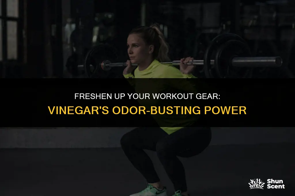 how to get odor out of workout clothes vinegar