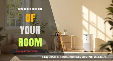 Freshen Up Your Space: Effective Tips to Eliminate Room Odors