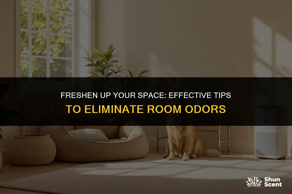 how to get odor out of your room