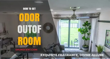 Freshen Up Your Space: Effective Tips to Eliminate Room Odors