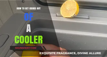 Freshen Up Your Cooler: A Guide to Removing Stubborn Odors