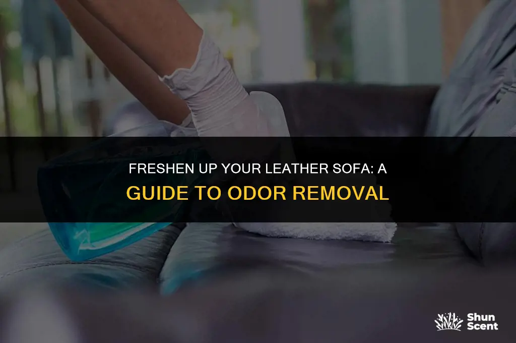 how to get odors out of a leather sofa