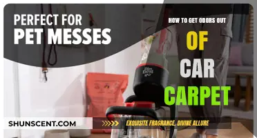 Freshen Up Your Ride: Effective Tips to Eliminate Car Carpet Odors