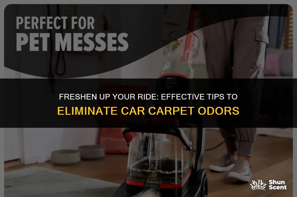 how to get odors out of car carpet
