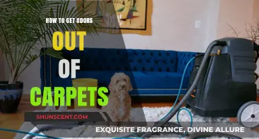 Freshen Up Your Home: Effective Tips to Eliminate Carpet Odors