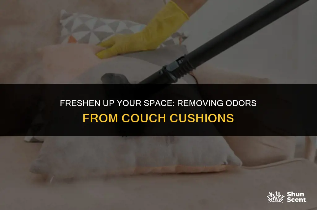 how to get odors out of couch cushions