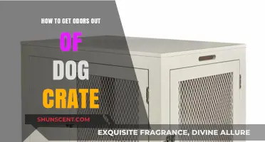 Freshen Up Your Pup's Pad: A Guide to Odor-Free Dog Crates