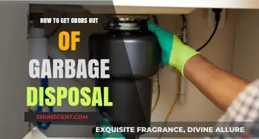 Freshen Up Your Kitchen: Effective Tips to Eliminate Garbage Disposal Odors
