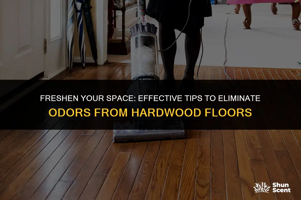 how to get odors out of hardwood floors