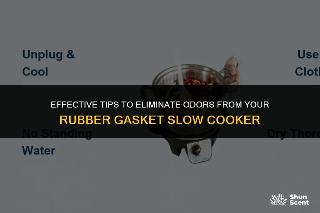 how to get odors out of rubber gasket slow cooker