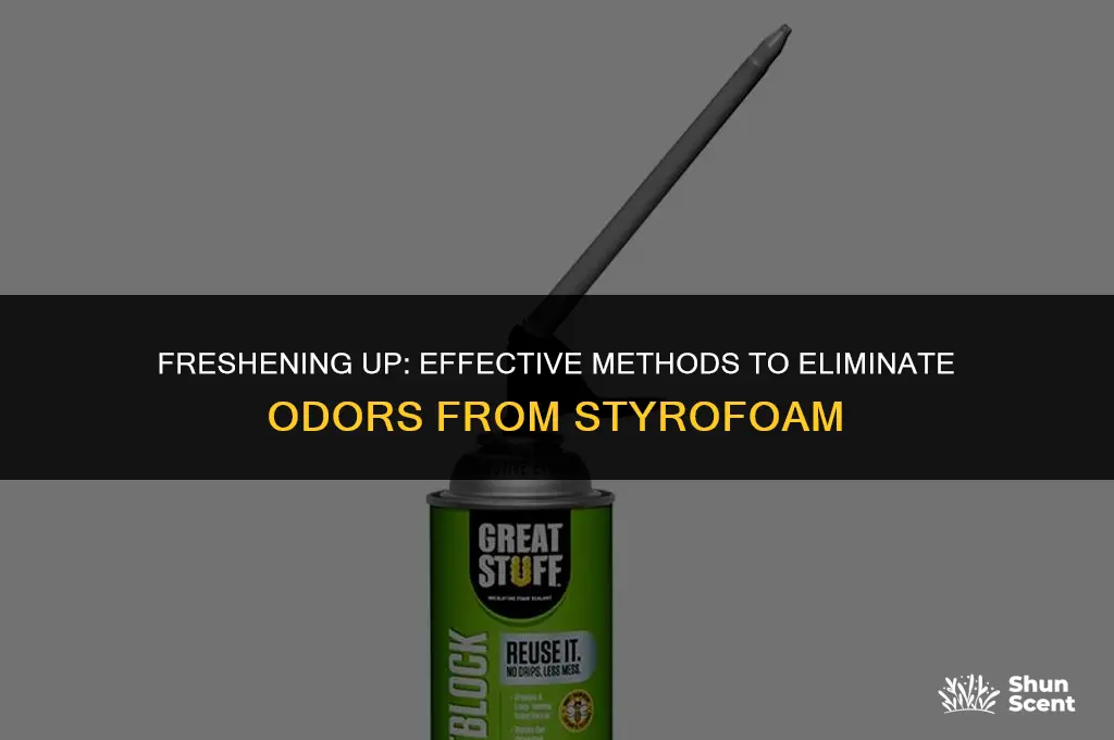 how to get odors out of storfoam
