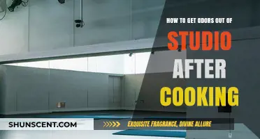 Freshen Up Your Studio: Post-Cooking Odor Elimination Tips