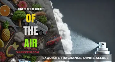 Freshen Up: Effective Ways to Eliminate Odors from Your Air