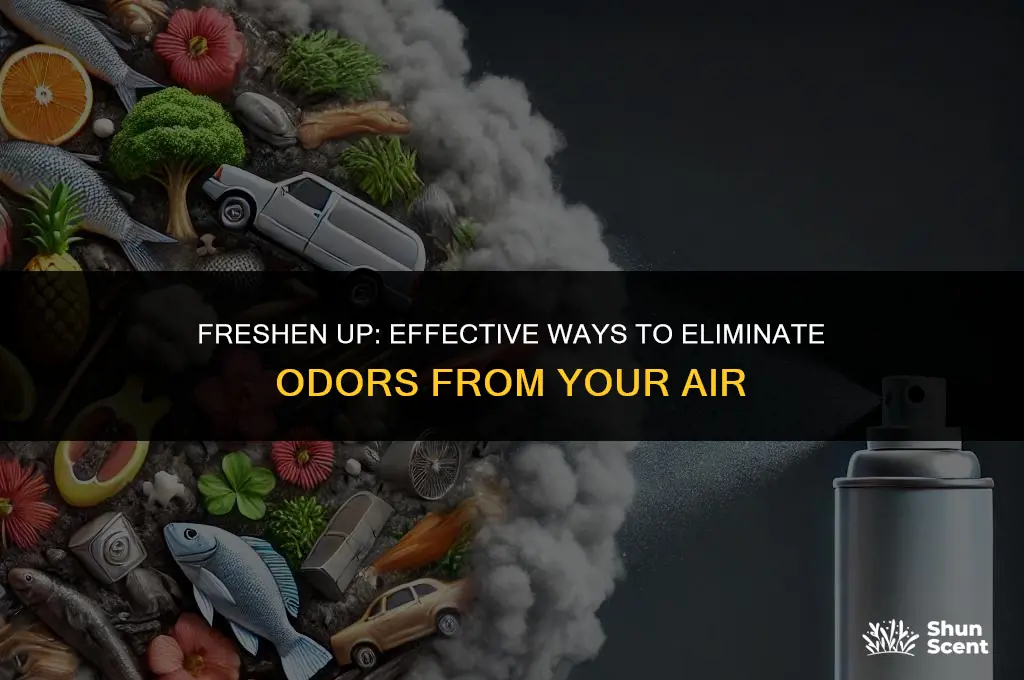 how to get odors out of the air