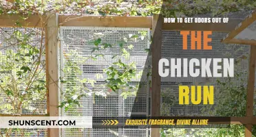 Freshening Up the Coop: A Guide to Odor-Free Chicken Runs