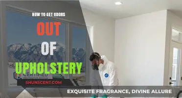 Freshen Up Your Furniture: A Guide to Odor Removal from Upholstery