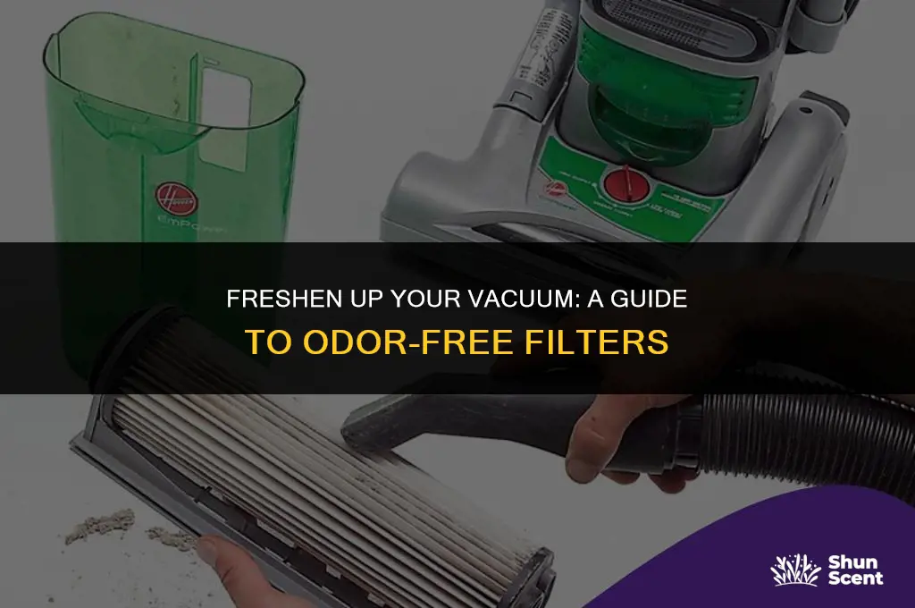 how to get odors out of vaccumn cleaner filtersd