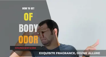 Fresh and Clean: A Comprehensive Guide to Eliminating Body Odor