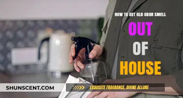 Revitalize Your Home: Effective Tips to Eliminate Lingering Odors