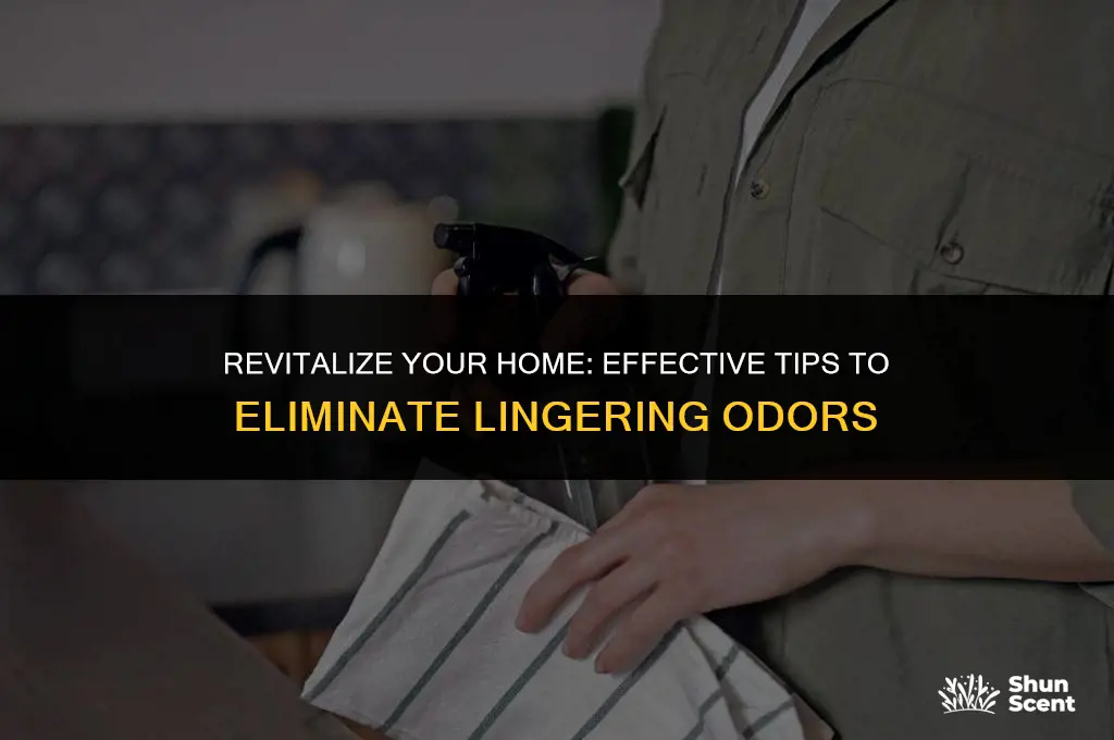 how to get old odor smell out of house