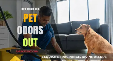 Freshen Up Your Home: A Guide to Removing Old Pet Odors