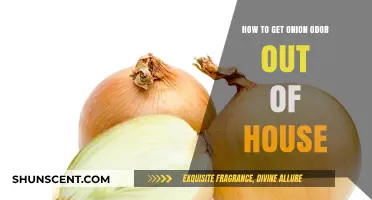Banishing Onion Odor: Effective Tips for a Fresh-Smelling Home