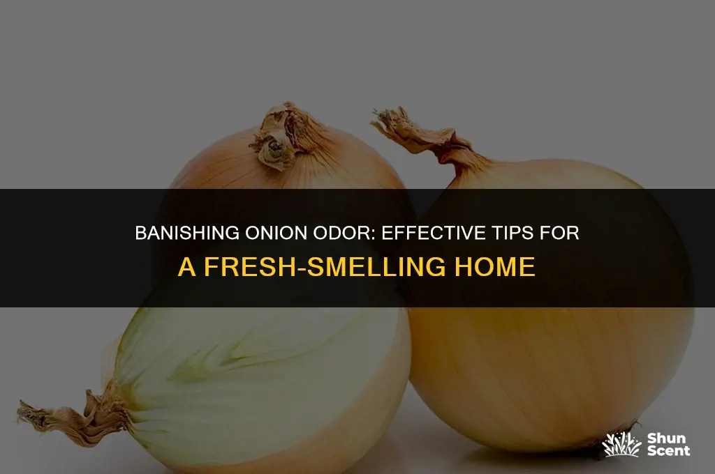 how to get onion odor out of house