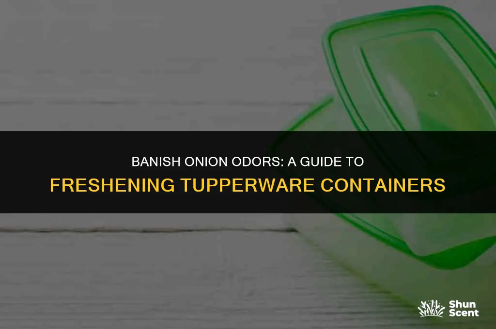 how to get onion odor out of tupperware